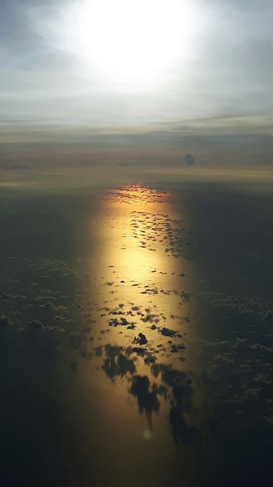 Chapter 1 I don’t want to follow the&nbsp;light